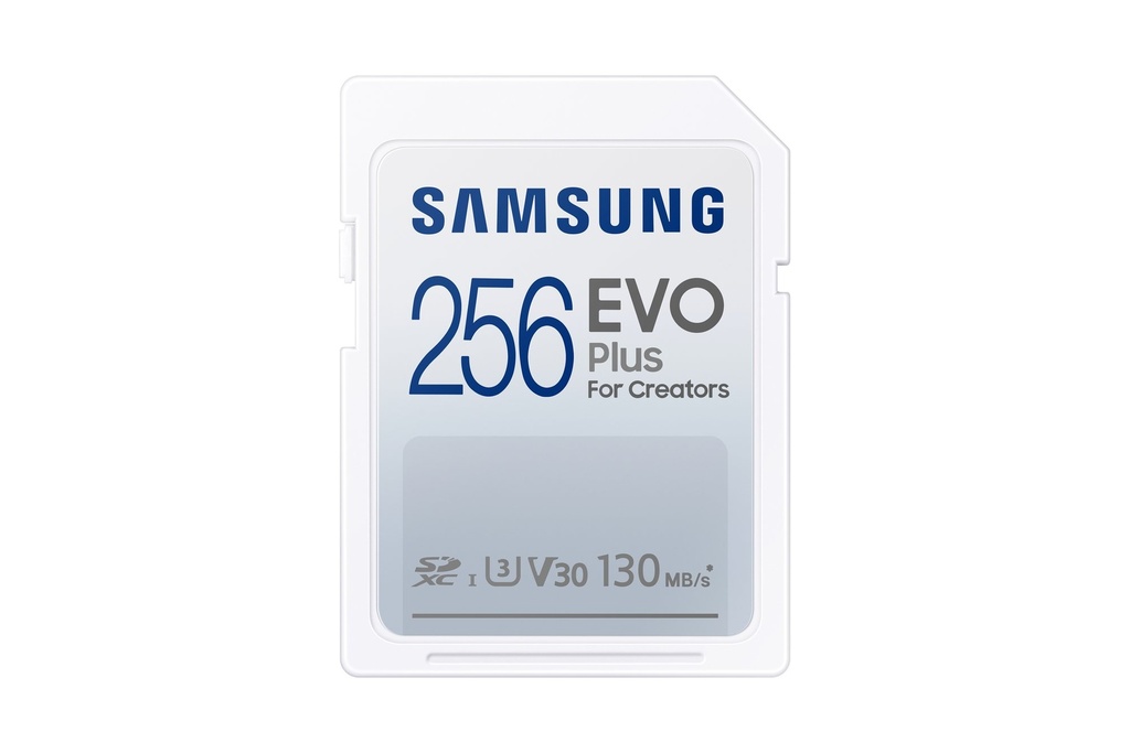 SD EVO PLUS 256GB